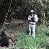  Curtis and a Juvenile Gorilla (Rwanda)